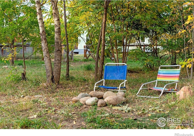 217 Park St, Lyons, CO 80540 - view of yard