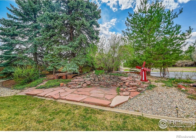 view of yard featuring a patio area