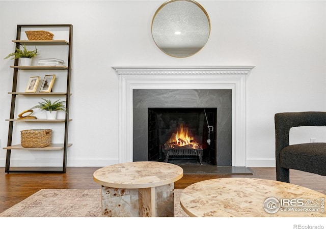 545 S Harrison Ln, Denver, CO 80209 - interior details with baseboards, wood finished floors, and a fireplace