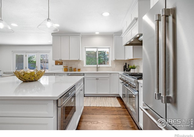545 S Harrison Ln, Denver, CO 80209 - kitchen featuring dark wood-style flooring, high end appliances, a wealth of natural light, and recessed lighting