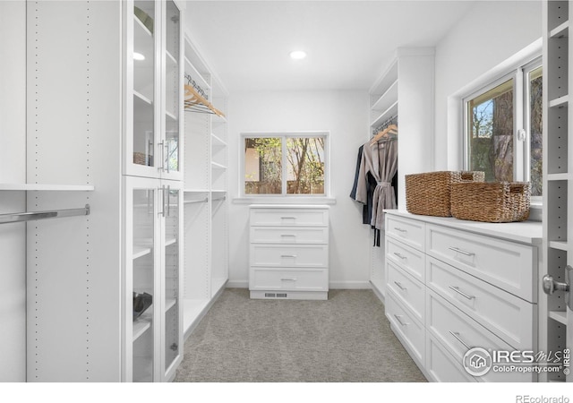 545 S Harrison Ln, Denver, CO 80209 - walk in closet featuring light colored carpet