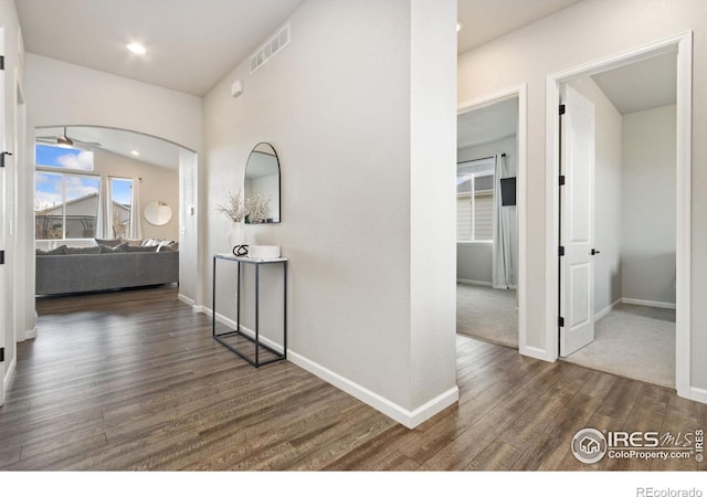 273 Saskatoon Dr, Windsor, CO 80550