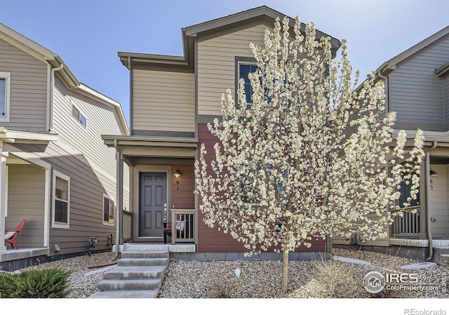 61 Avocet Ct, Longmont, CO 80501 - view of traditional-style home