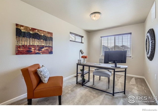 61 Avocet Ct, Longmont, CO 80501 - carpeted office space featuring baseboards
