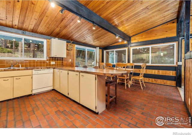712 Aspen Dr, Lyons, CO 80540 - kitchen with a sink, wooden ceiling, dishwasher, and a healthy amount of sunlight