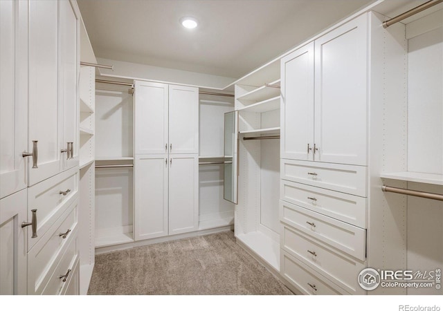 9283 Sedalia St, Commerce City, CO 80022 - spacious closet with light carpet