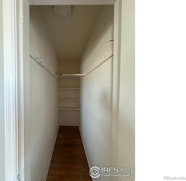 walk in closet with dark wood finished floors