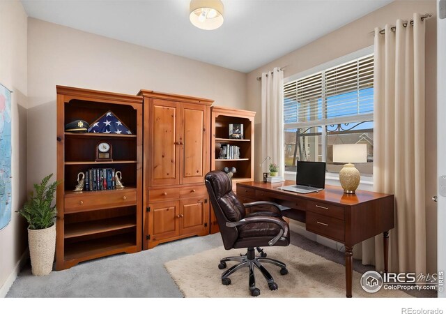 8101 River Run Dr, Greeley, CO 80634 - photo 4
