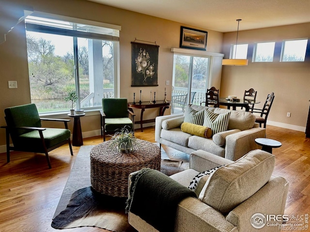 8101 River Run Dr, Greeley, CO 80634 - photo 5