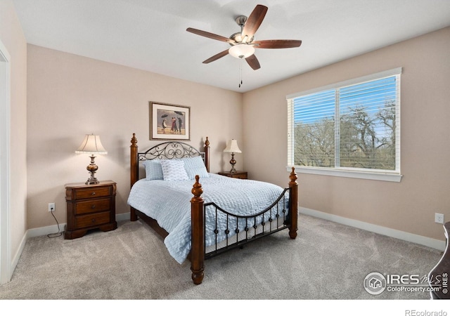 8101 River Run Dr, Greeley, CO 80634 - photo 14