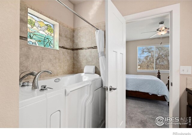 8101 River Run Dr, Greeley, CO 80634 - photo 15