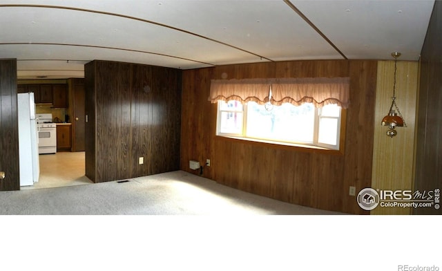 317 N Ord St, Grover, CO 80729 - spare room featuring light carpet and wood walls