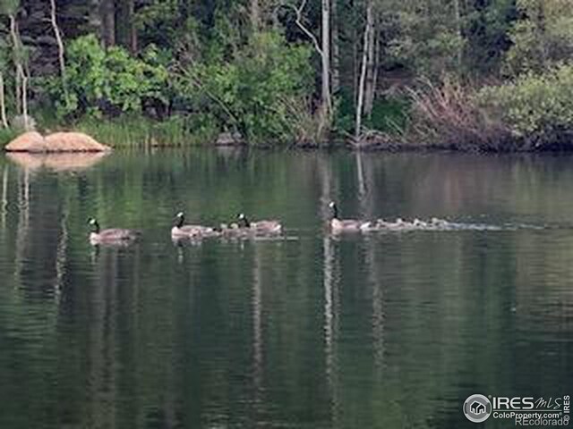 194 Lakeview Dr, Red Feather Lakes, CO 80545