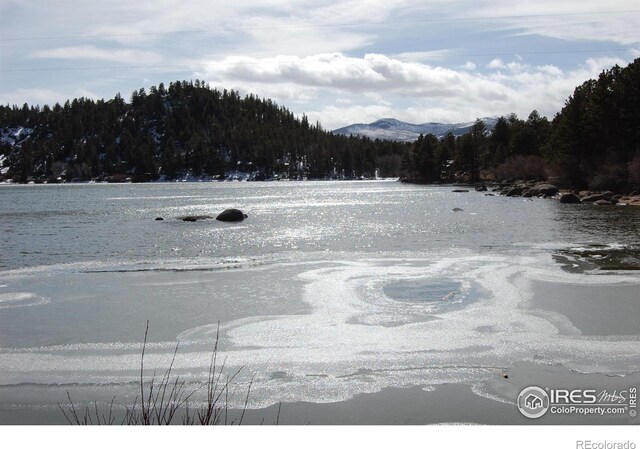 194 Lakeview Dr, Red Feather Lakes, CO 80545