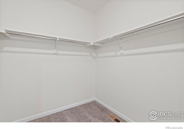 1103 Hornet Dr, Fort Collins, CO 80526 - spacious closet with carpet flooring and visible vents