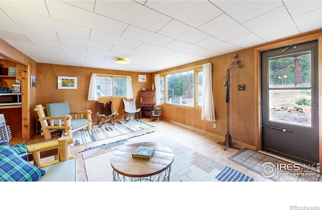 living room featuring wooden walls and baseboards
