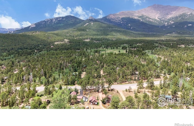 mountain view with a forest