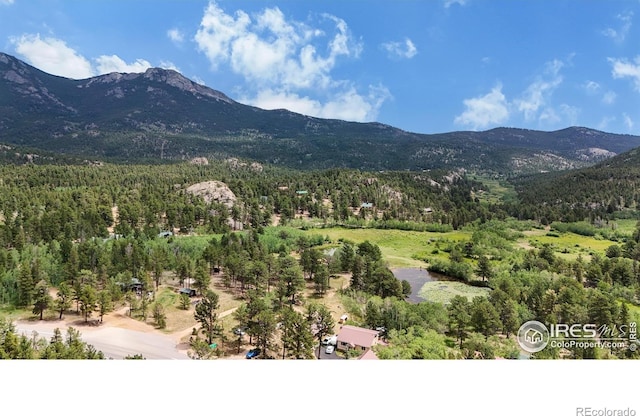 view of mountain backdrop with a forest