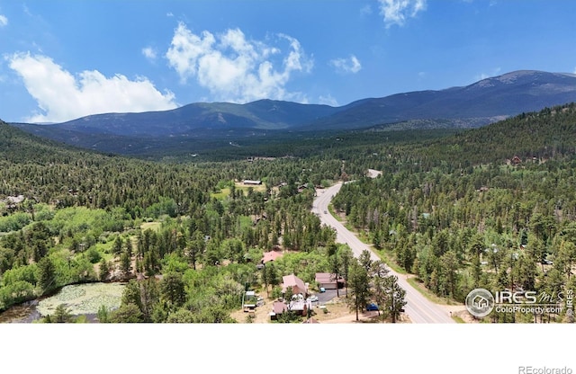 drone / aerial view of a forest and a mountain backdrop