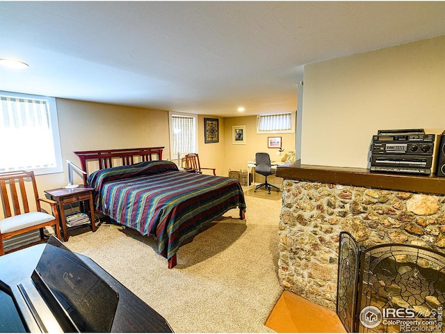 613 Smith St, Fort Collins, CO 80524 - photo 10