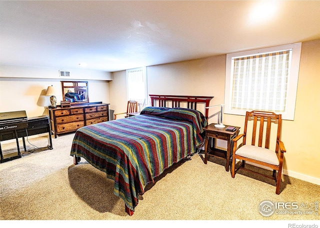 613 Smith St, Fort Collins, CO 80524 - photo 11