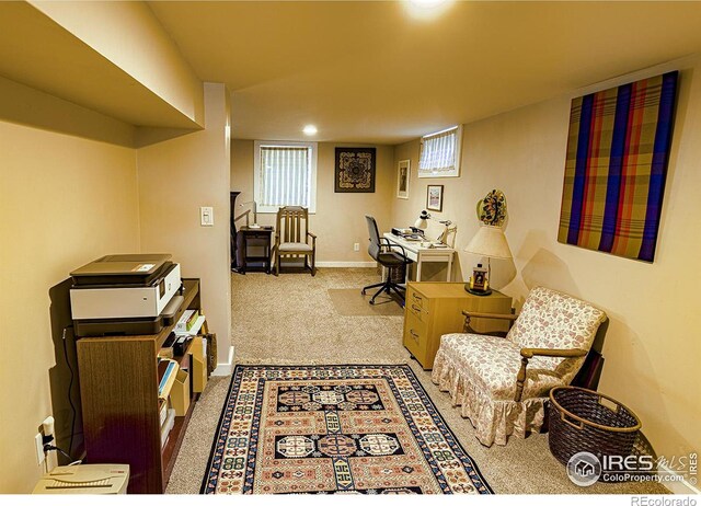 613 Smith St, Fort Collins, CO 80524 - photo 12