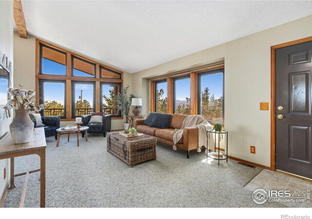 13236 Otter Rd, Loveland, CO 80538 - carpeted living room featuring lofted ceiling, baseboards, and a textured ceiling
