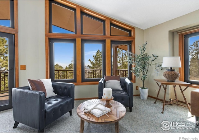 13236 Otter Rd, Loveland, CO 80538 - sitting room with carpet floors and baseboards