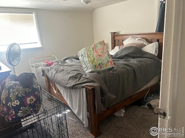 1306 Main St, Platteville, CO 80651 - photo 10