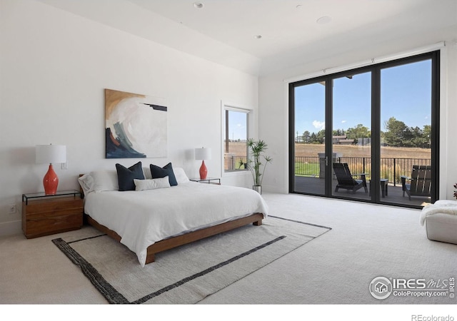 bedroom with access to exterior, baseboards, and carpet