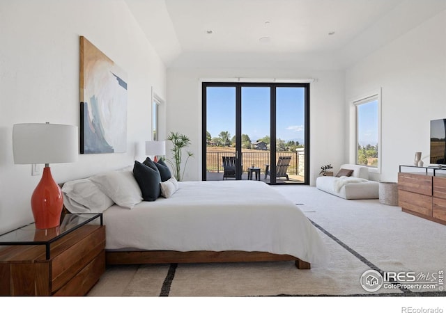 bedroom with access to exterior and light carpet