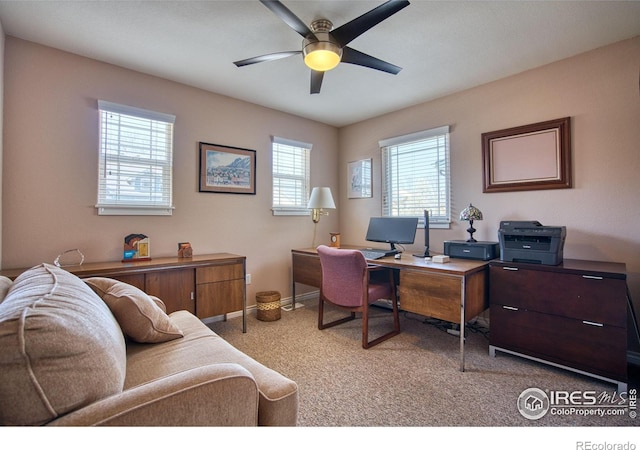 835 Kane Dr Unit 25, Longmont, CO 80501 - office space featuring baseboards, a ceiling fan, and carpet floors