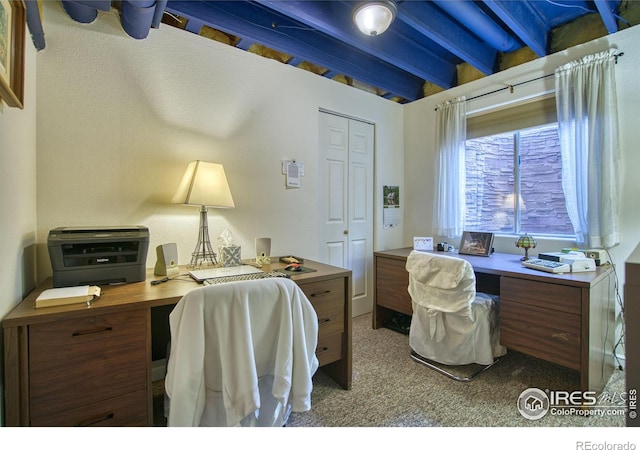 835 Kane Dr Unit 25, Longmont, CO 80501 - view of office area