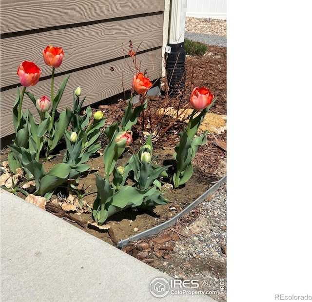 2118 74th Avenue Ct, Greeley, CO 80634 - view of exterior details