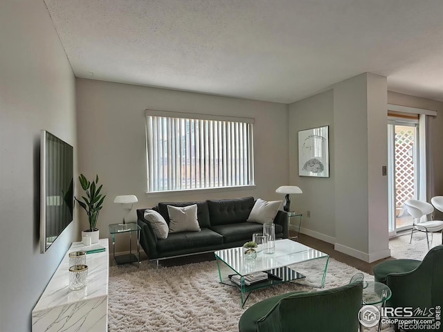 1616 Longbow Ct, Lafayette, CO 80026 - carpeted living room with a textured ceiling and baseboards