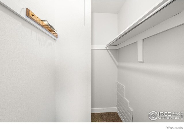 1616 Longbow Ct, Lafayette, CO 80026 - walk in closet featuring carpet floors