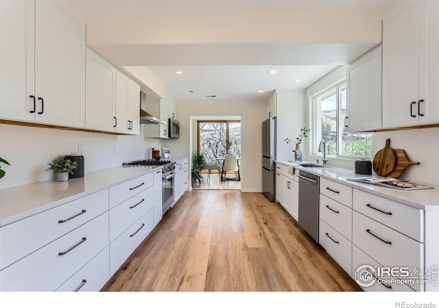 3786 Eldorado Springs Dr, Boulder, CO 80303 - kitchen with stainless steel appliances, a healthy amount of sunlight, a sink, and light wood-style floors