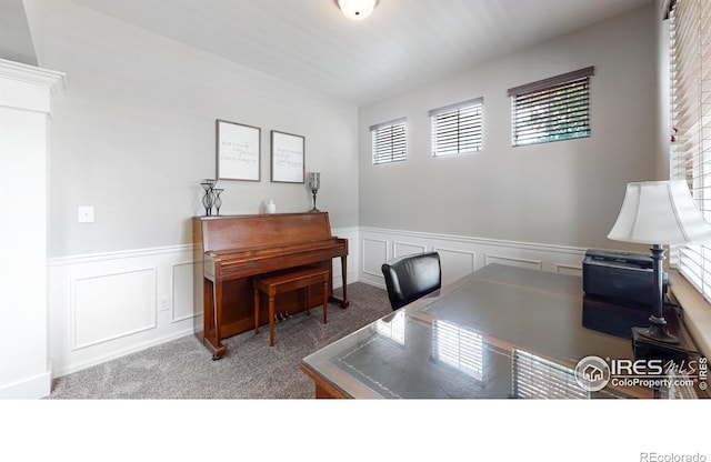 5543 Calgary St, Timnath, CO 80547 - carpeted office space featuring healthy amount of natural light, wainscoting, and a decorative wall