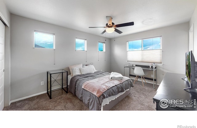 5543 Calgary St, Timnath, CO 80547 - carpeted bedroom with baseboards and ceiling fan