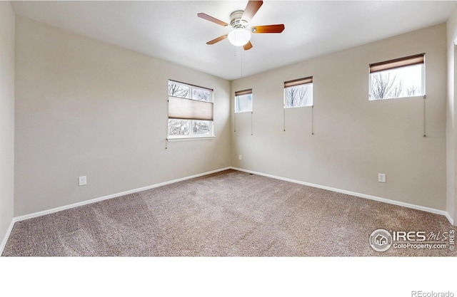 5543 Calgary St, Timnath, CO 80547 - carpeted empty room featuring a ceiling fan and baseboards