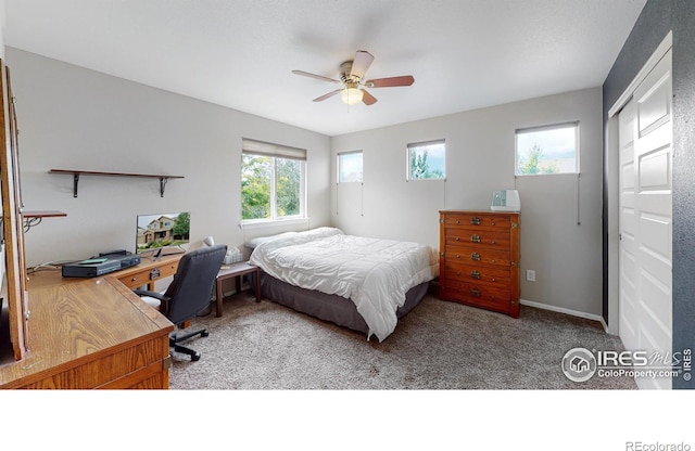 5543 Calgary St, Timnath, CO 80547 - bedroom with carpet floors, a desk, and a ceiling fan
