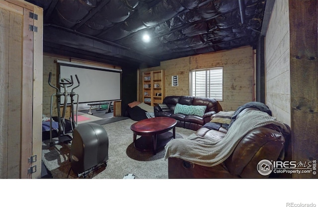 5543 Calgary St, Timnath, CO 80547 - view of carpeted cinema room