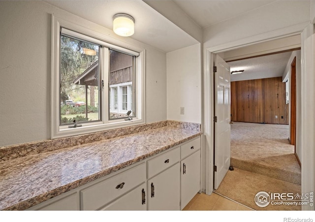 198 Poudre River Rd, Bellvue, CO 80512 - interior space with wooden walls and vanity