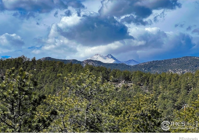 5634 Longmont Dam Rd, Lyons, CO 80540 - photo 23