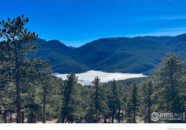 5634 Longmont Dam Rd, Lyons, CO 80540 - photo 24