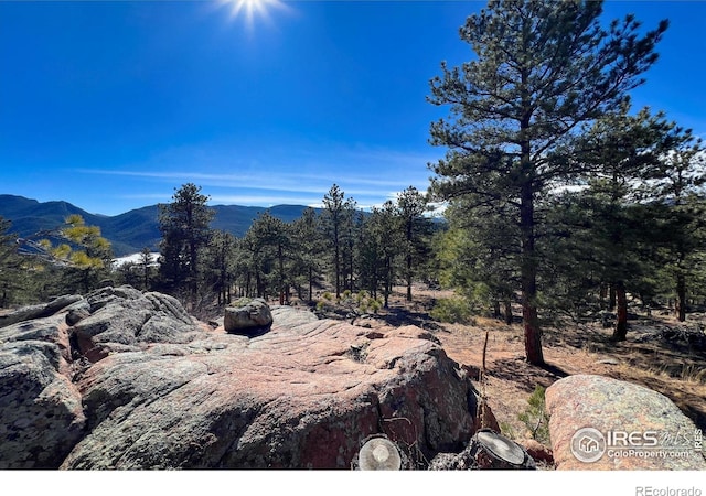 5634 Longmont Dam Rd, Lyons, CO 80540 - photo 36