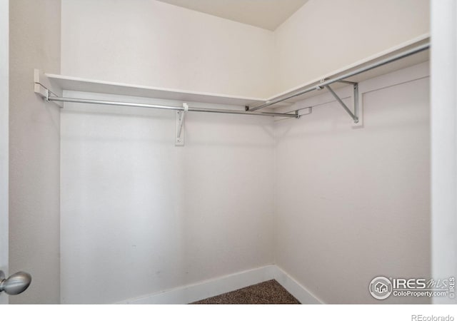 view of spacious closet