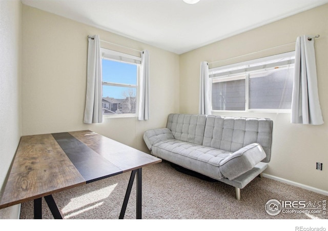 10433 Forester Pl, Longmont, CO 80504 - carpeted office space with baseboards