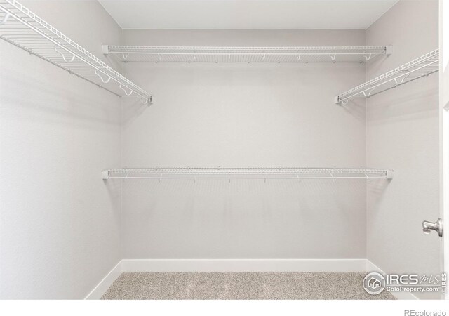 2221 Chesapeake Dr, Fort Collins, CO 80524 - photo 20