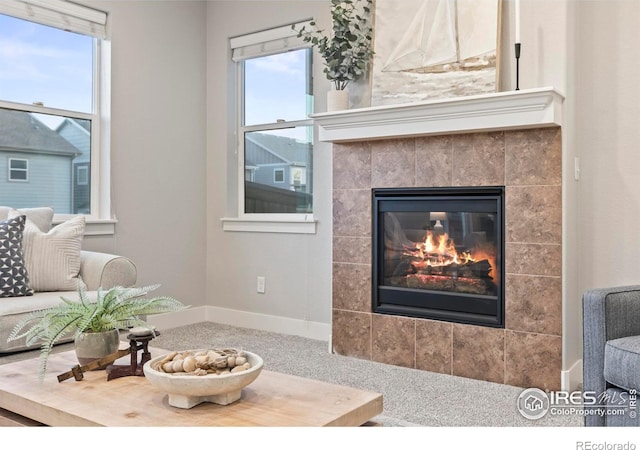 2221 Chesapeake Dr, Fort Collins, CO 80524 - photo 5